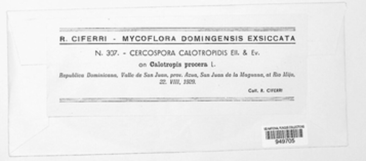 Clypeosphaerella image